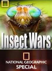 Böcek Savaşları