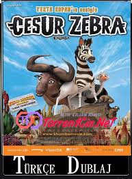 Cesur Zebra